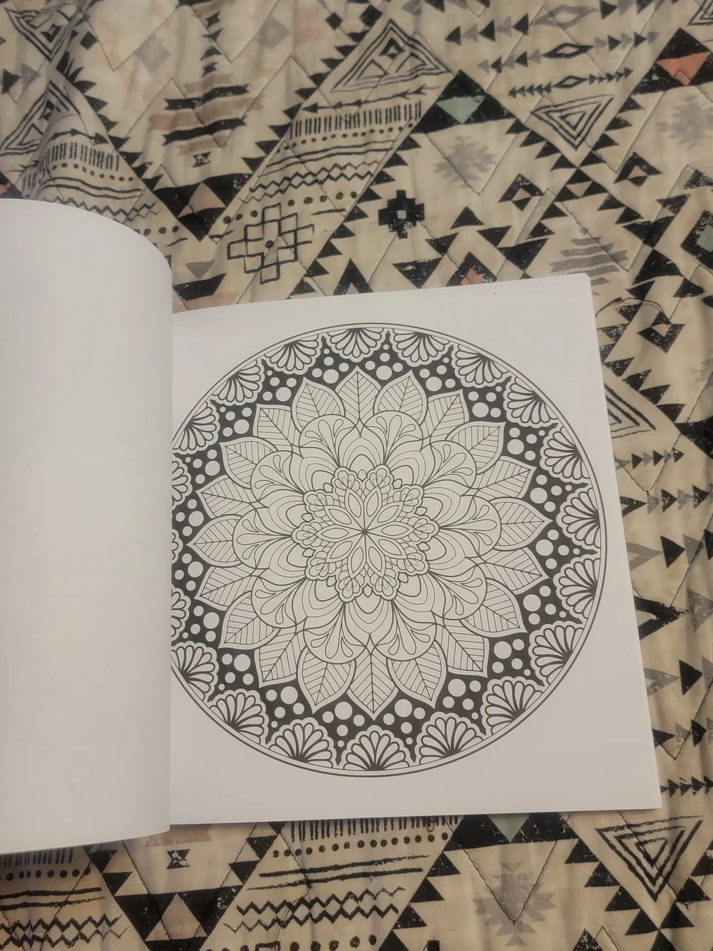 The Art of Mandala Adult Coloring Book by Jason Hamilton - Purple Cover